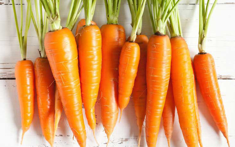 Cà rốt - thực phẩm chứa nguồn dưỡng chất quý báu