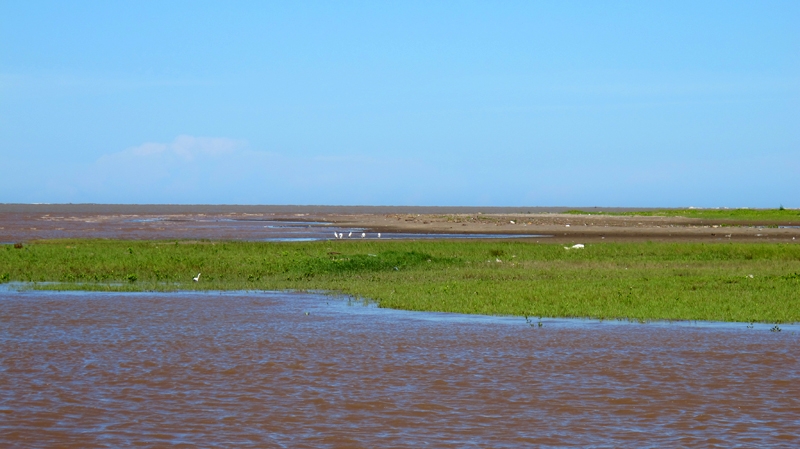 Khu dự trữ sinh quyển Đồng bằng sông Hồng có nhiều bãi bồi phù sa. Đây là nơi cư trú lí tưởng của các loài chim nước