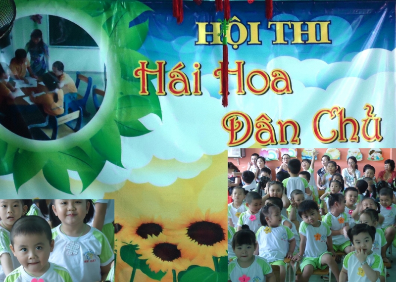 Thi hái hoa dân chủ