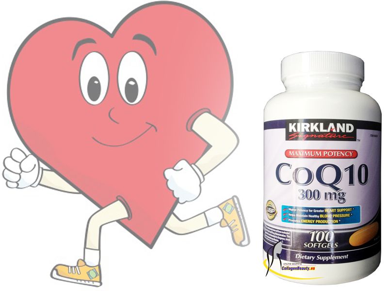 Kirkland CoQ10 300 mg giúp duy trì sức khỏe tim mạch.