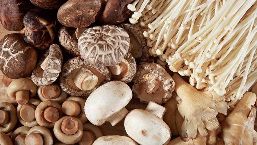 Các loại nấm một thực phẩm bổ dưỡng với cơ thể và hệ thống xương