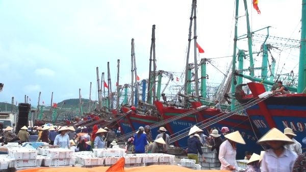 Tàu cá tấp nập về bến ở xã Tiến Thủy - Quỳnh Lưu