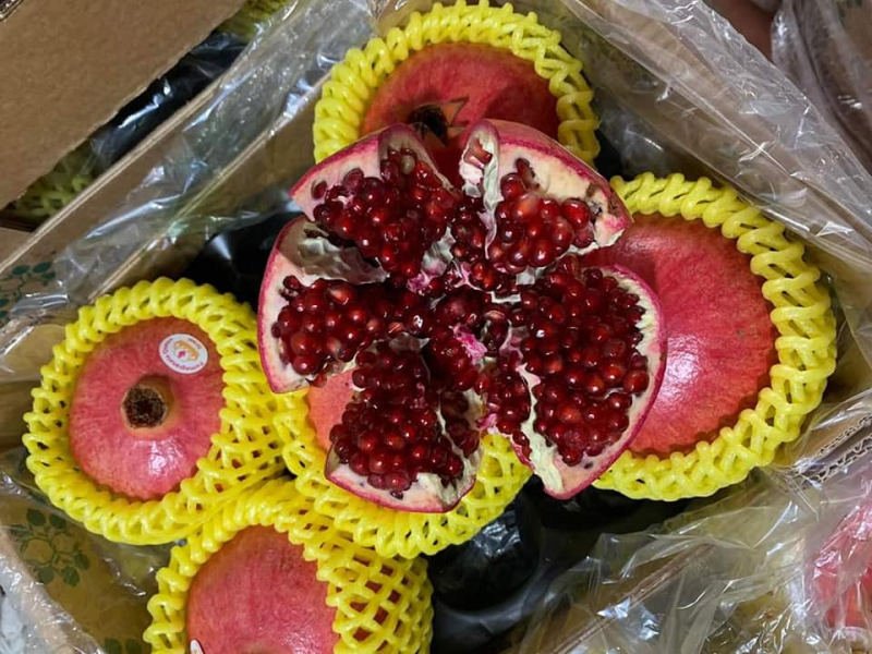 Yummy Fruit