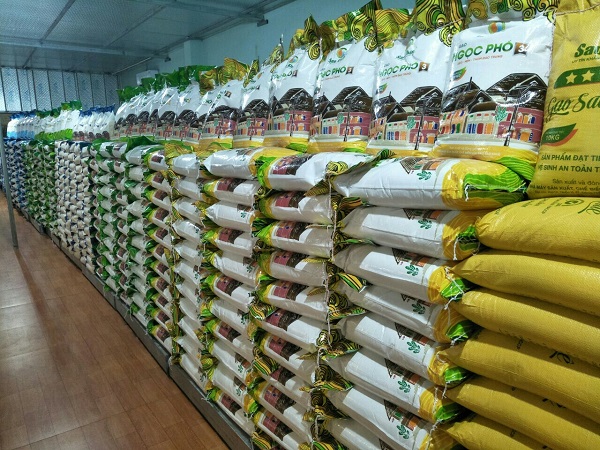 Các đại lý bán gạo tại Nghệ An uy tín, giá rẻ và chất lượng với Đại lý gạo Đông Dương